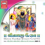 Shrinathji Utsav - Part 2